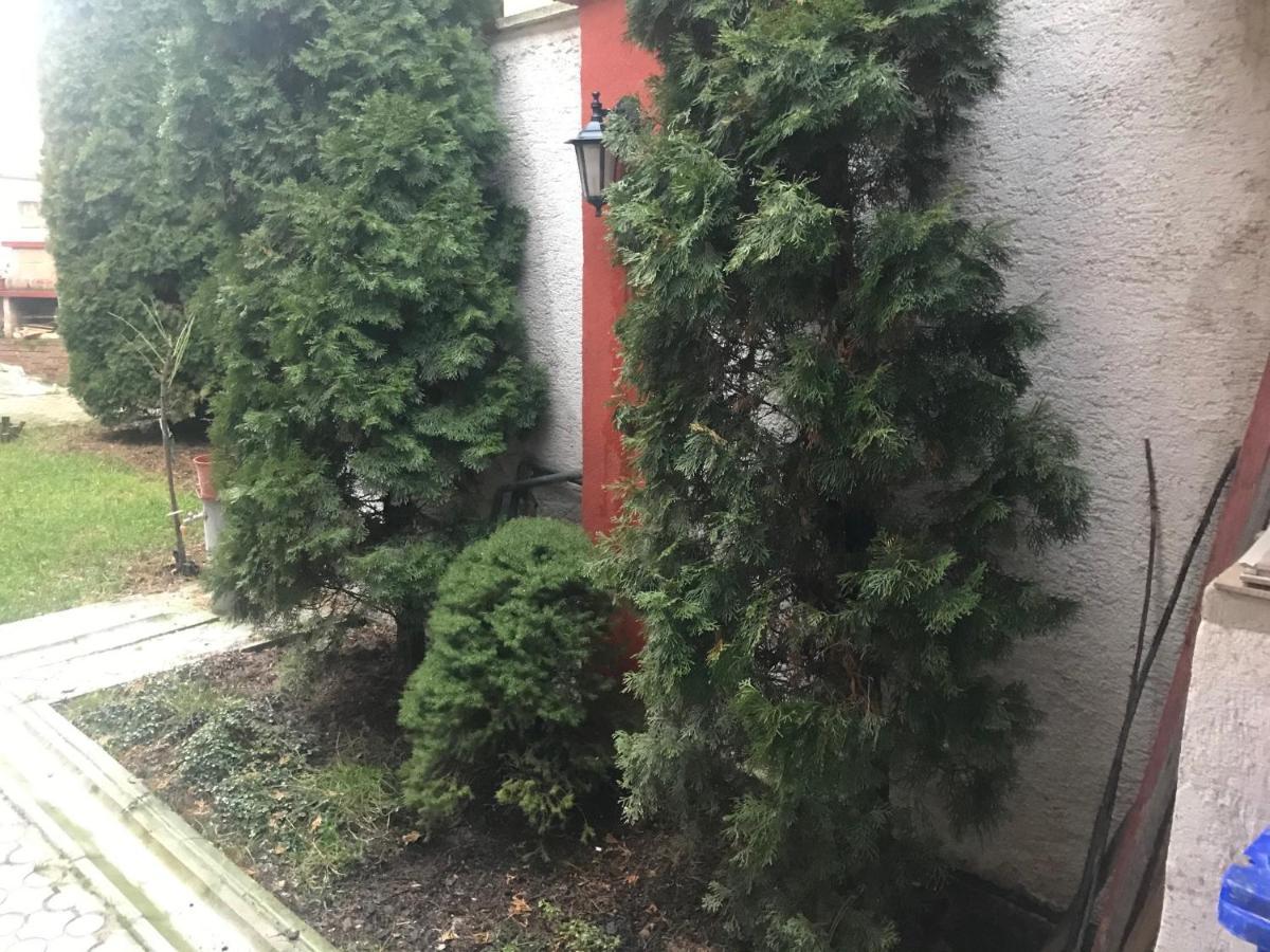 Apartman Jeruzalemska Trnava Exteriör bild